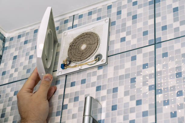 Best Air Duct Mold Removal  in Franklin Rk, PA
