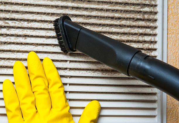 Best Air Duct Mold Removal  in Franklin Rk, PA